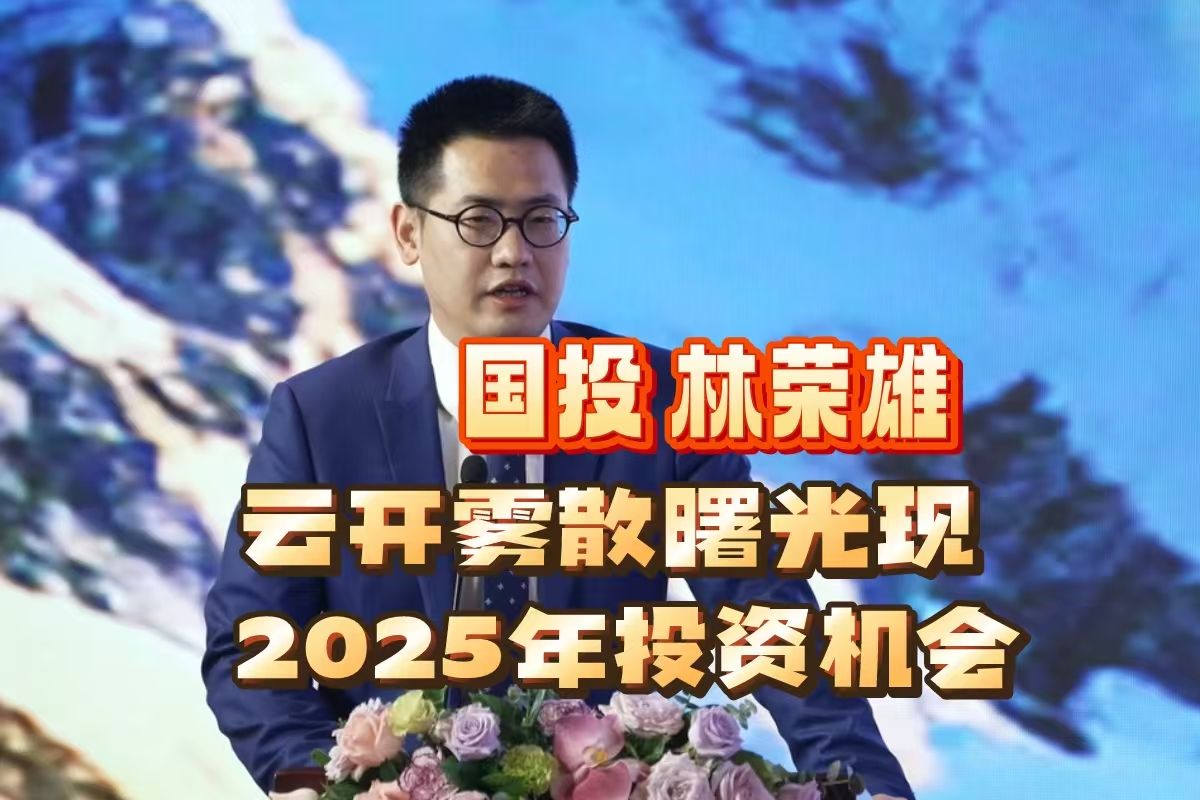 必看!国投首席林荣雄:先下手为强,2025年投资机遇前瞻!哔哩哔哩bilibili