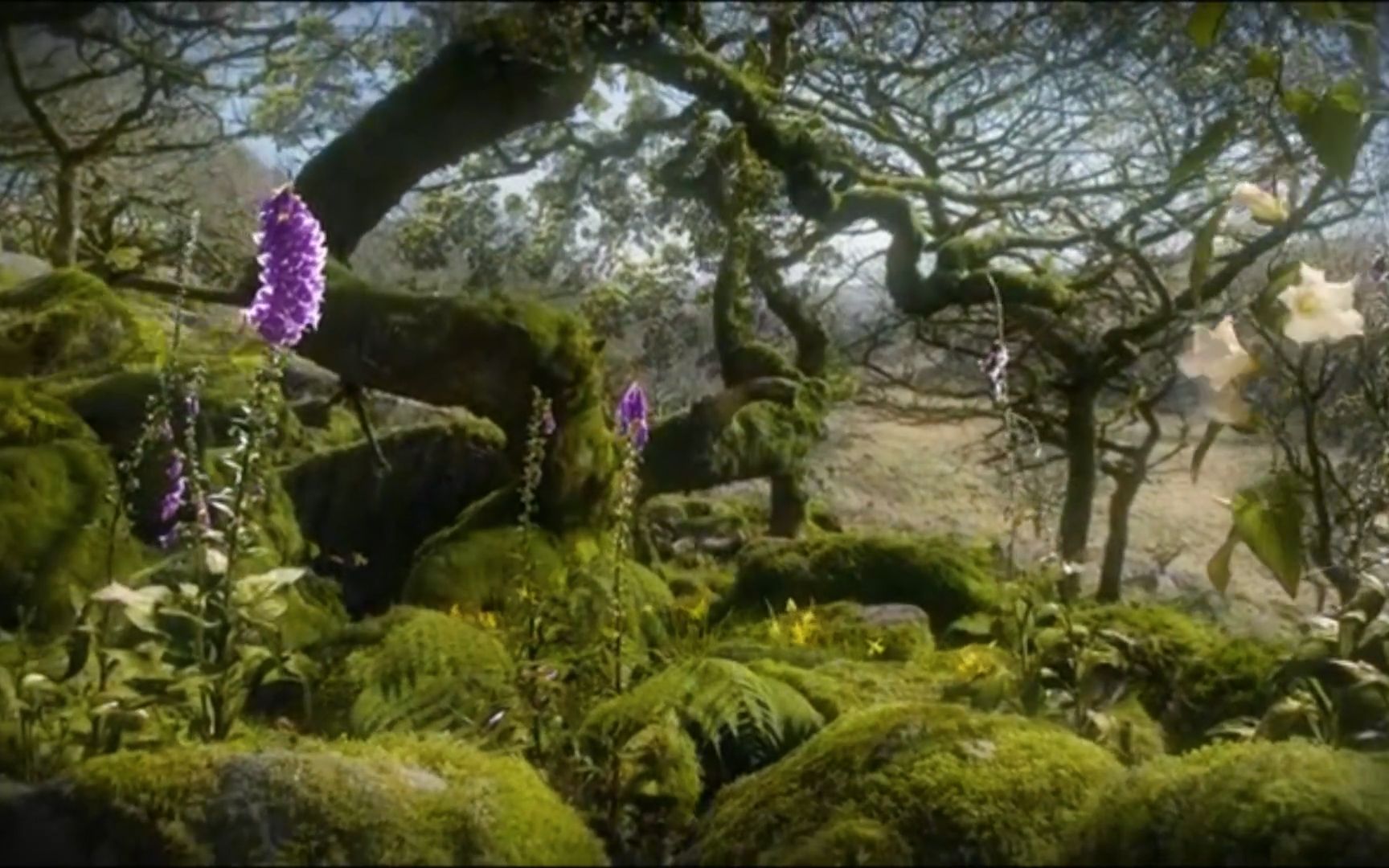 [图]纯音乐Richard Schrieber-Miracle of Life,激情澎湃大气磅礴GBM,壮丽自然风景