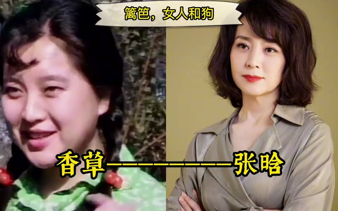 《篱笆女人和狗》14位演员今昔,小龙嫁了F4,巧姑比年轻时更美哔哩哔哩bilibili