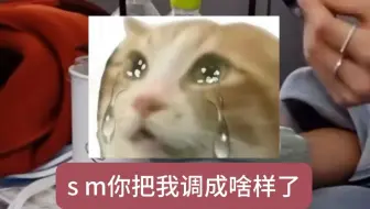 【SMTR25 | EP4 reaction】偷感很重地全程0.5倍速看这一群萌物，无cp