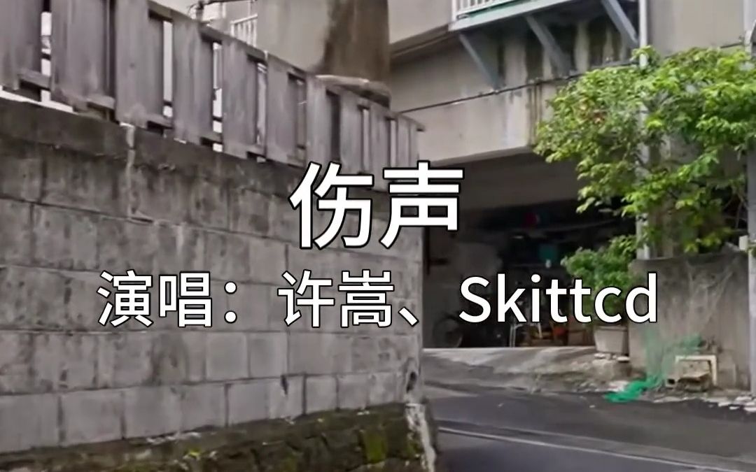 《伤声》许嵩、Skittcd,你知不知道,我默默在祈祷.哔哩哔哩bilibili