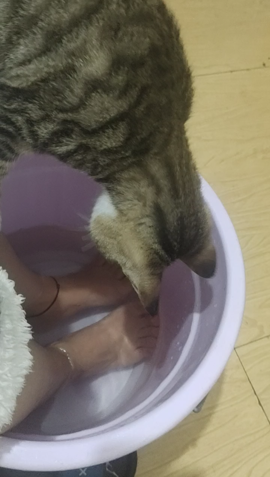 高难度喝洗脚水98