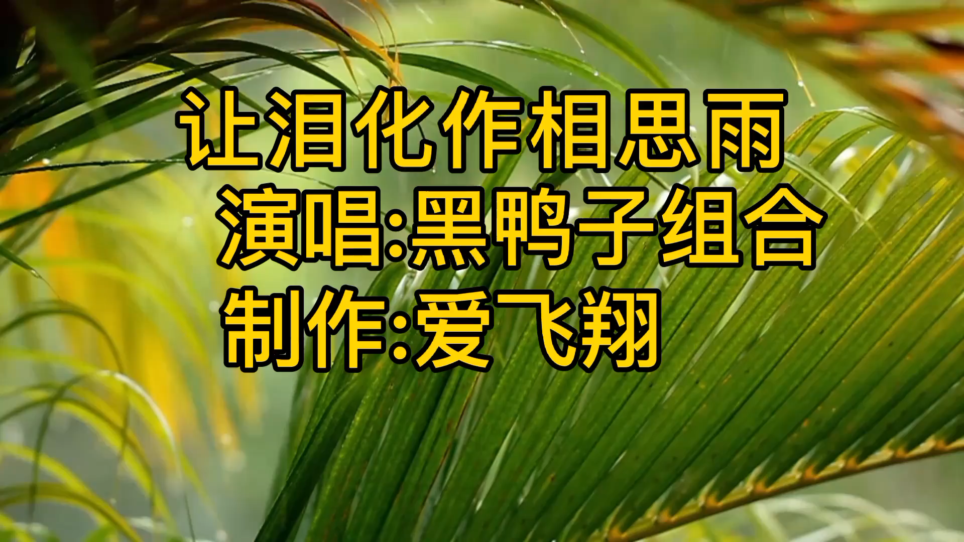 黑鸭子组合一首《让泪化作相思泪》经典老歌,好听极了哔哩哔哩bilibili