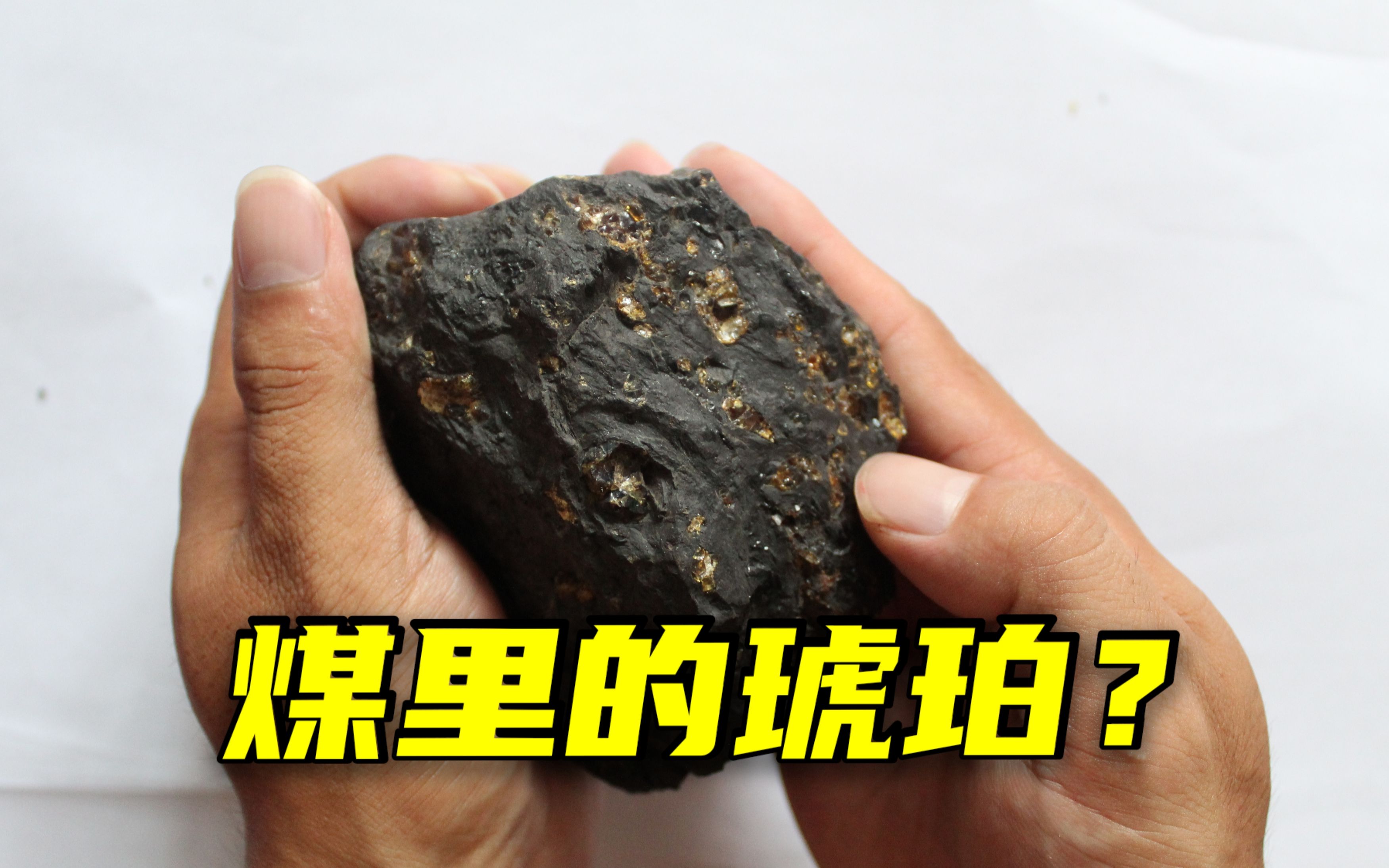 煤琥珀原石图片及价格图片