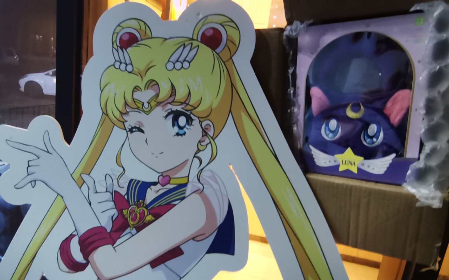 美少女战士之露娜和水兵月