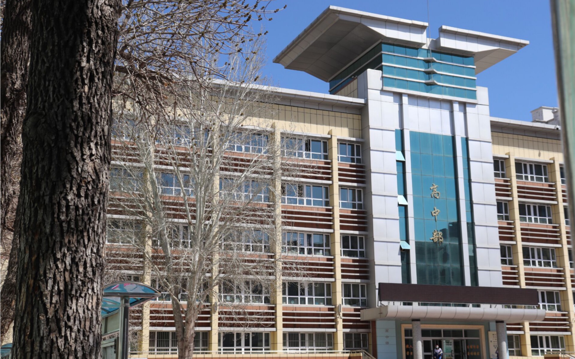 新疆生产建设兵团第二中学 2023届6班关于青少年饮食健康问题研究性