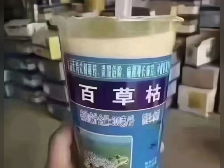 百草枯奶茶图片