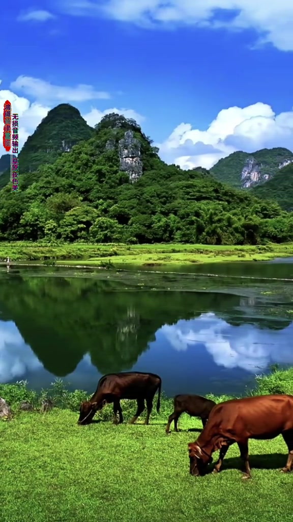 [图]草原夜色美纯音乐完整版治愈系风景情感音乐一起享受大自然的美