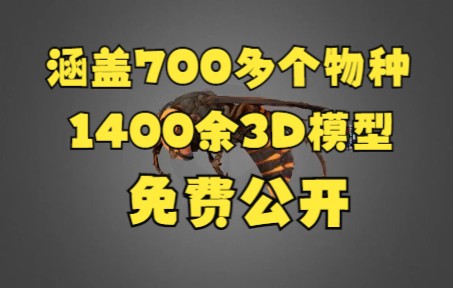 【建议收藏】超1000种三维模型免费公开!涵盖700余物种!哔哩哔哩bilibili