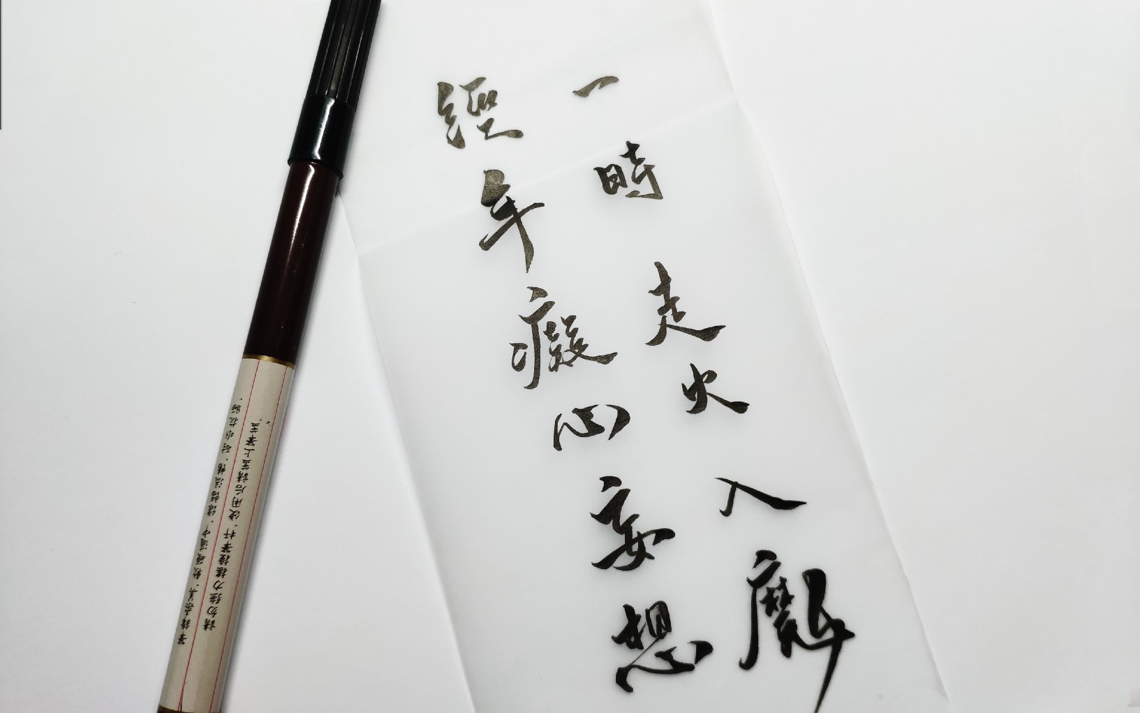 手写杀破狼句子摘抄经年痴心妄想一时走火入魔