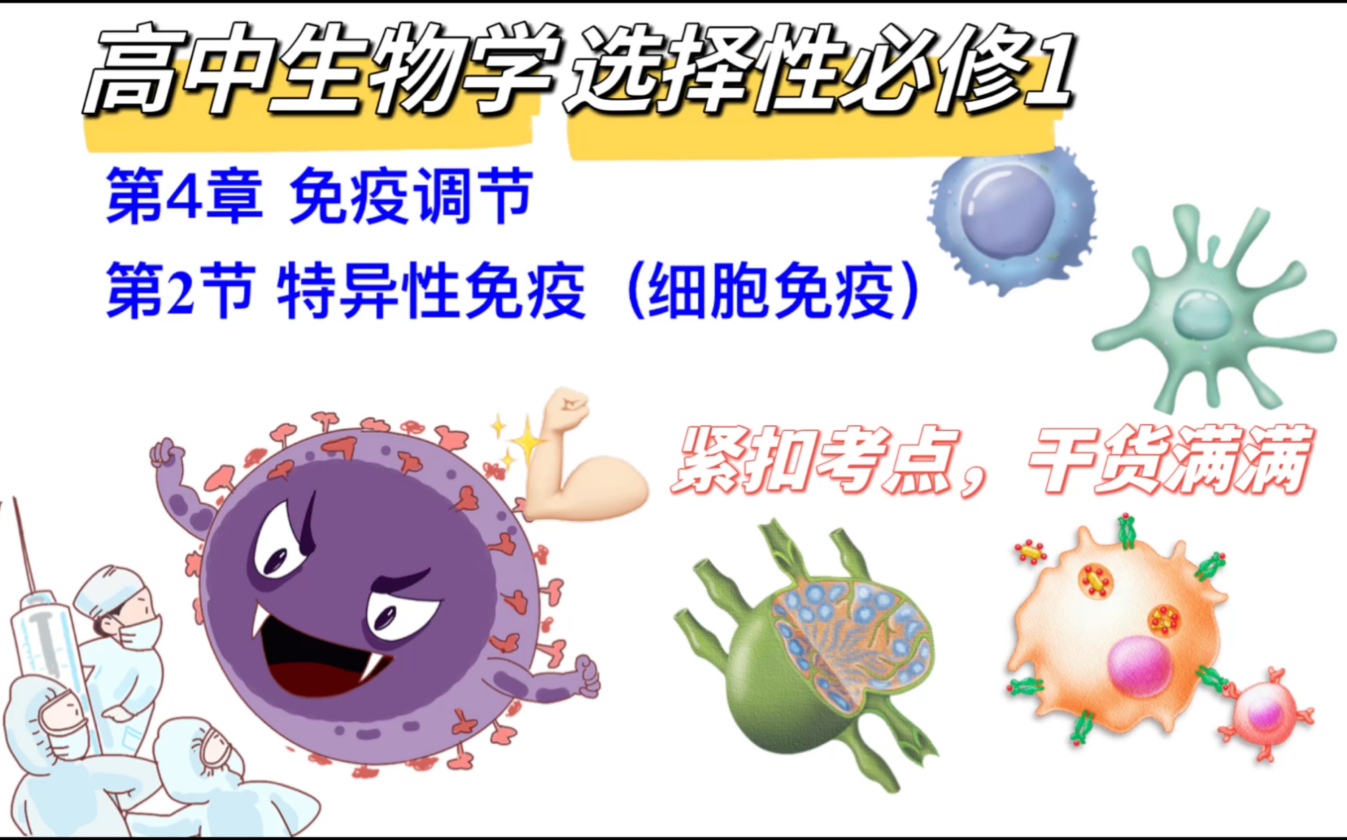高中生物选择性必修1 | 4.2特异性免疫(细胞免疫)干货满满 !