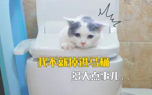 Download Video: 小奶猫不小心掉进马桶，迎来第一次洗澡