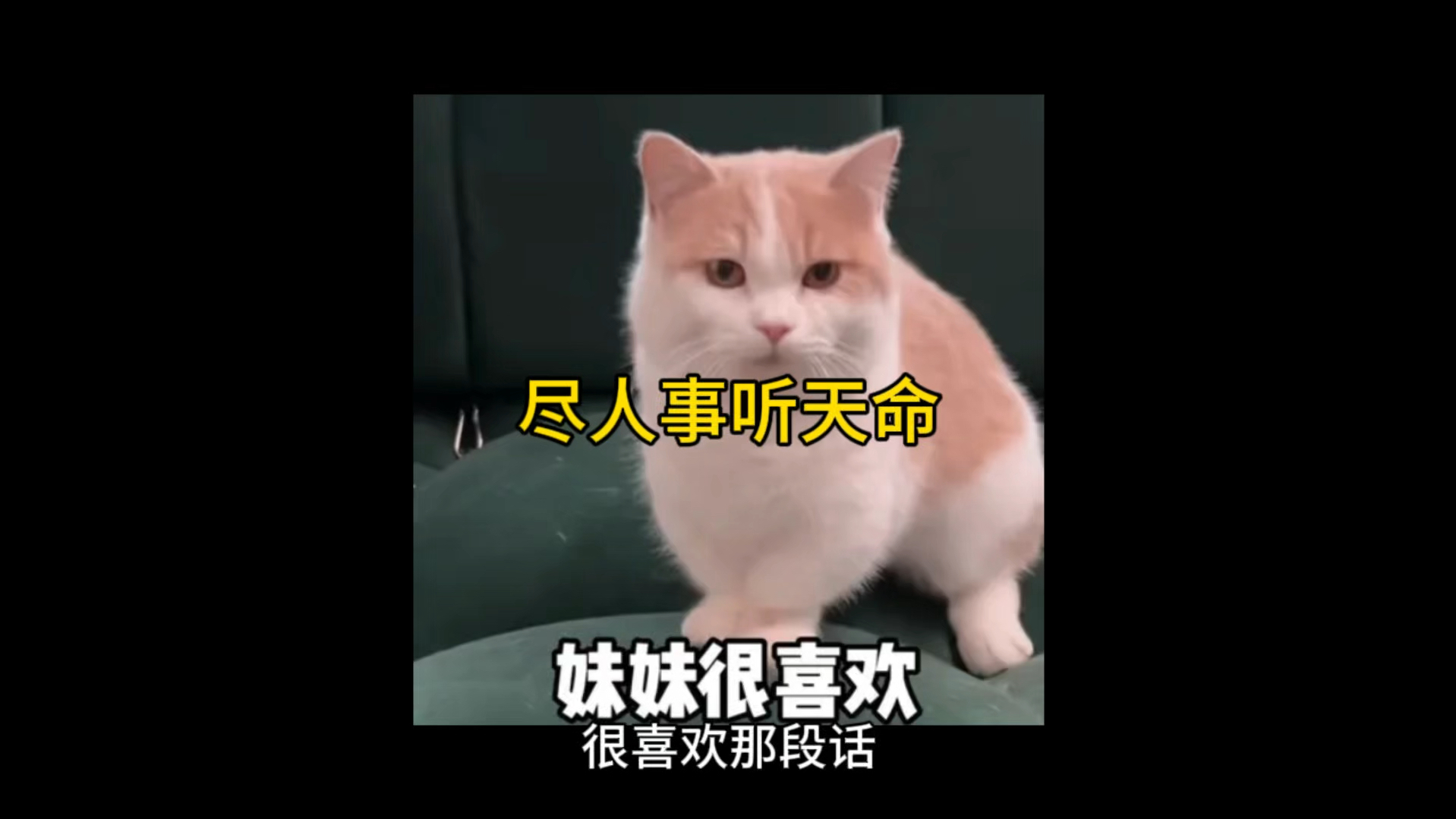 尽人事听天命#然旭说励志#然旭it服务