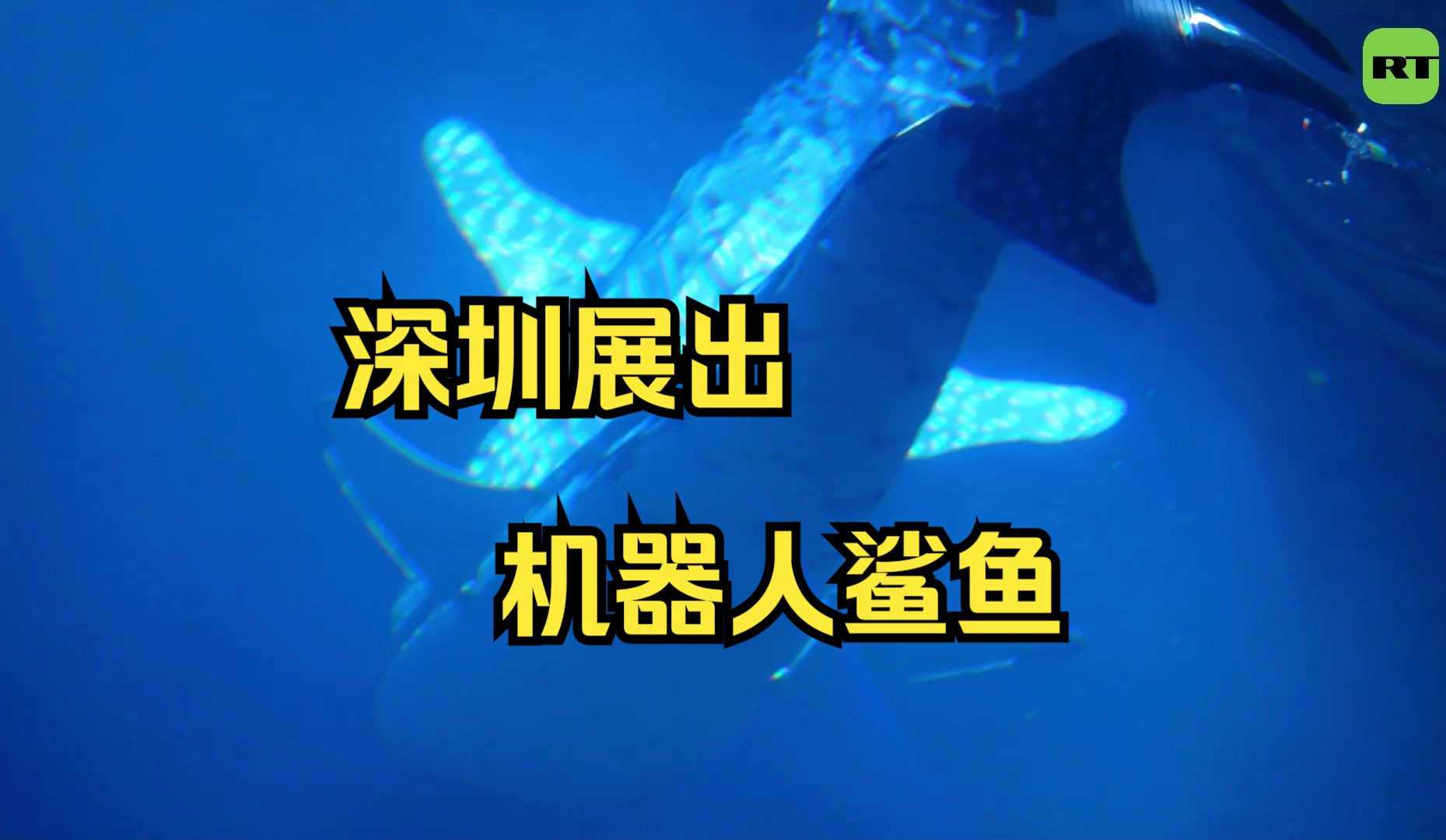 深圳小梅沙海洋世界推出机器人鲨鱼引热议哔哩哔哩bilibili