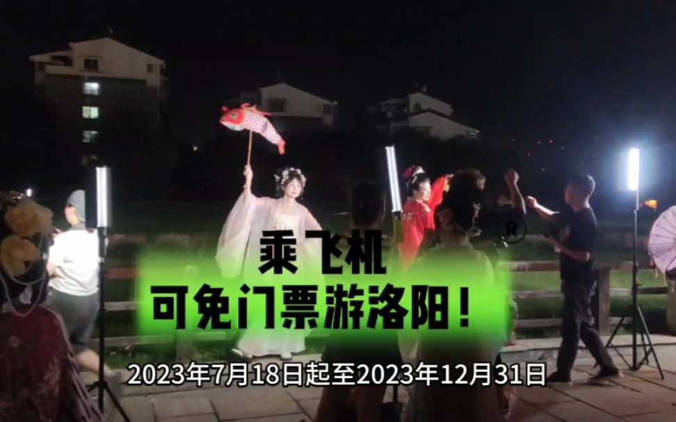 乘飞机免门票游洛阳啦!哔哩哔哩bilibili