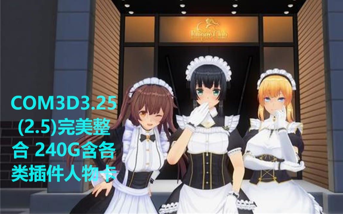 [图]【整合】3D定制女仆2/com3d2 整合完美汉化分享 240G