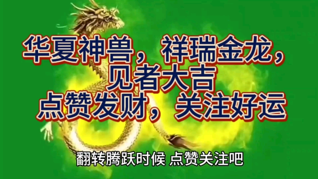 華夏神獸,祥瑞金龍,見者大吉,點贊發財,關注好運.五爪金龍開啟