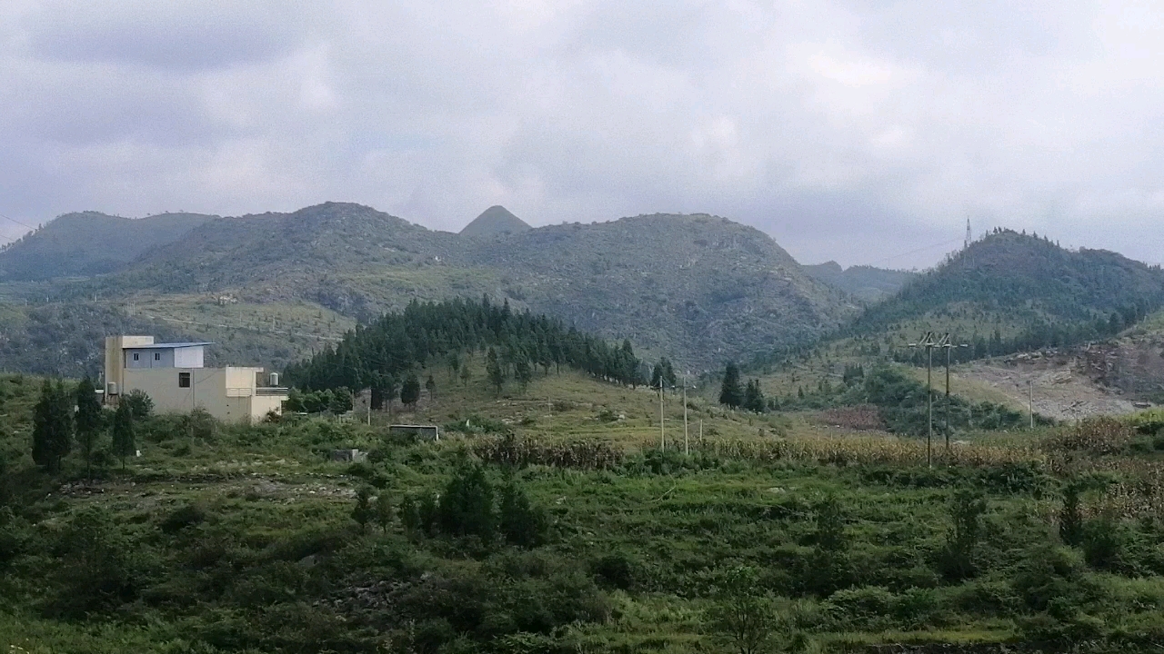 朱科顺 贵人骑马朝山 伸手摸案富贵宝地