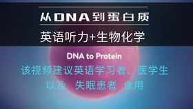 哔哩哔哩