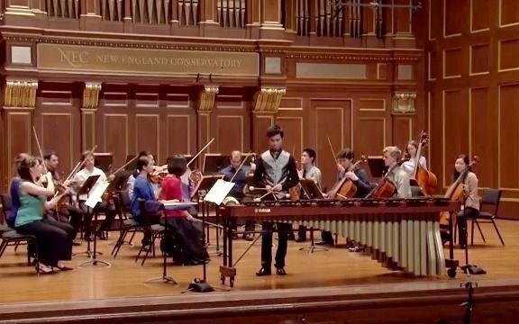 [图]马林巴独奏 Concerto for Marimba and String Orchestra - Emmanuel Séjourné