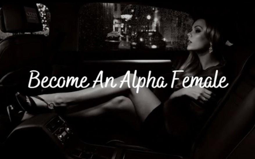 [ 大佬她又美又飒 ] Become An Alpha Female哔哩哔哩bilibili