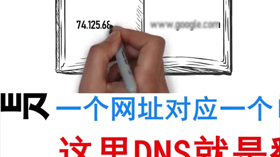 DNS是什么哔哩哔哩bilibili