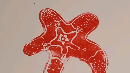 海绵纸做版画之大海星_哔哩哔哩_bilibili