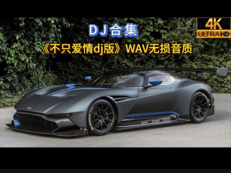 精选车载中文动感DJ,上头洗脑神曲〖不只爱情 DJ版〗WAV无损音质哔哩哔哩bilibili