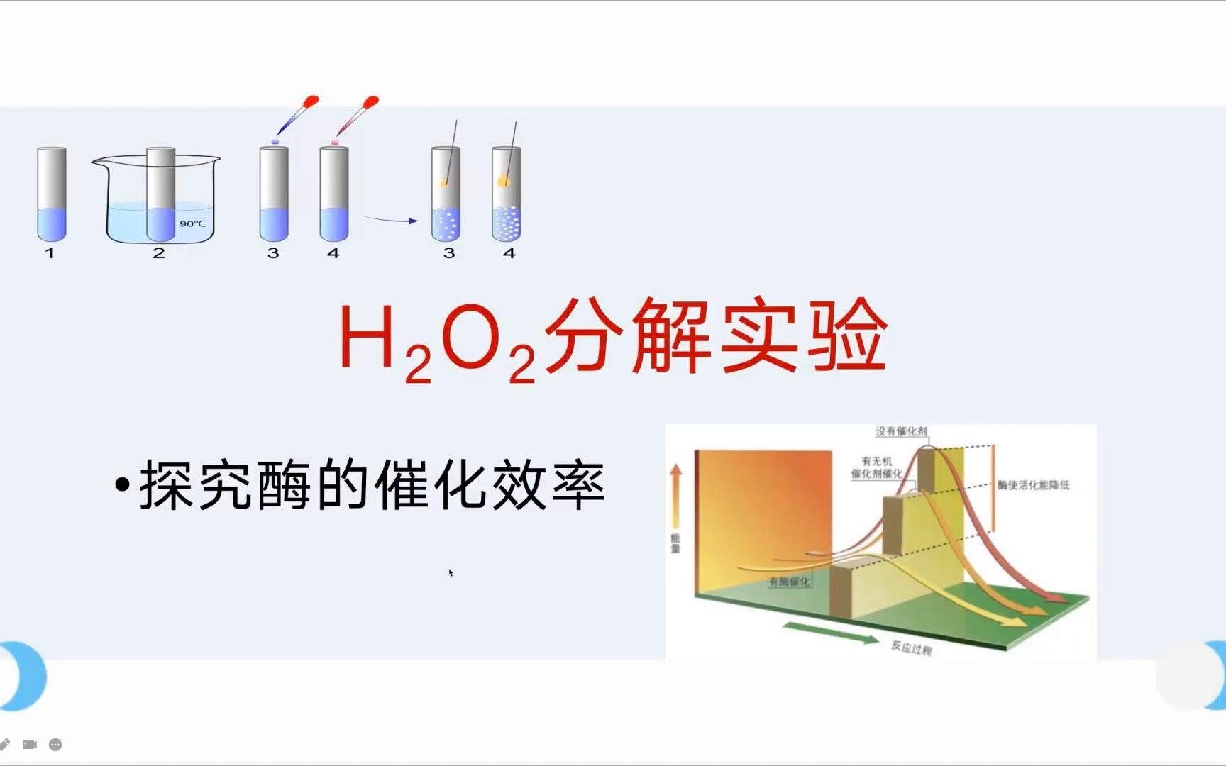 必修一:探究酶的催化效率实验——过氧化氢分解哔哩哔哩bilibili