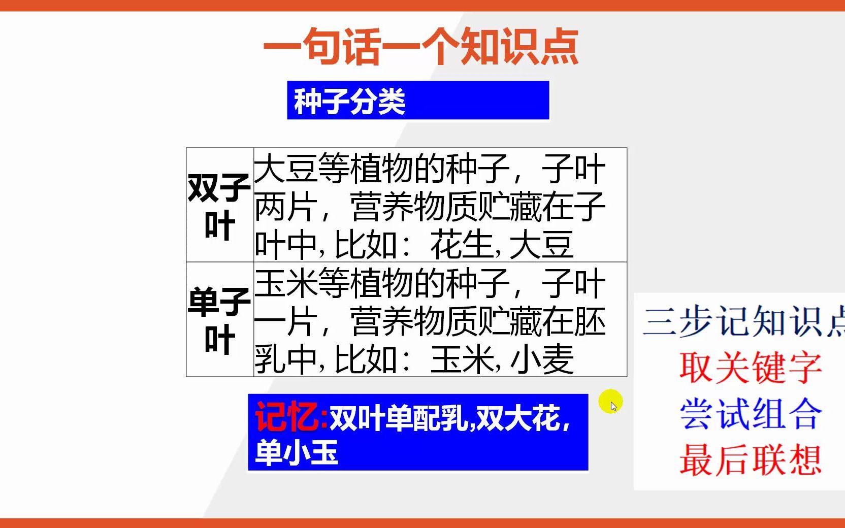 【七年级上册生物知识点记忆】种子的分类双子叶和单子叶哔哩哔哩bilibili