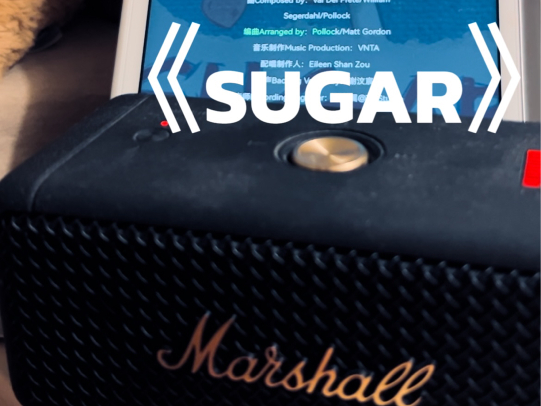《sugar》刘耀文||marshall马歇尔音响试听