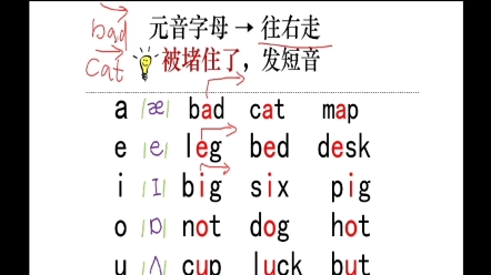 自然拼读法,5个元音字母,什么时候发短音?哔哩哔哩bilibili