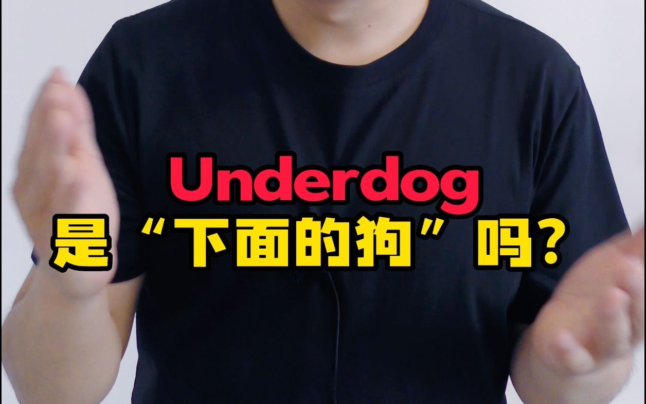 Underdog是下面的狗吗?你错了!哔哩哔哩bilibili