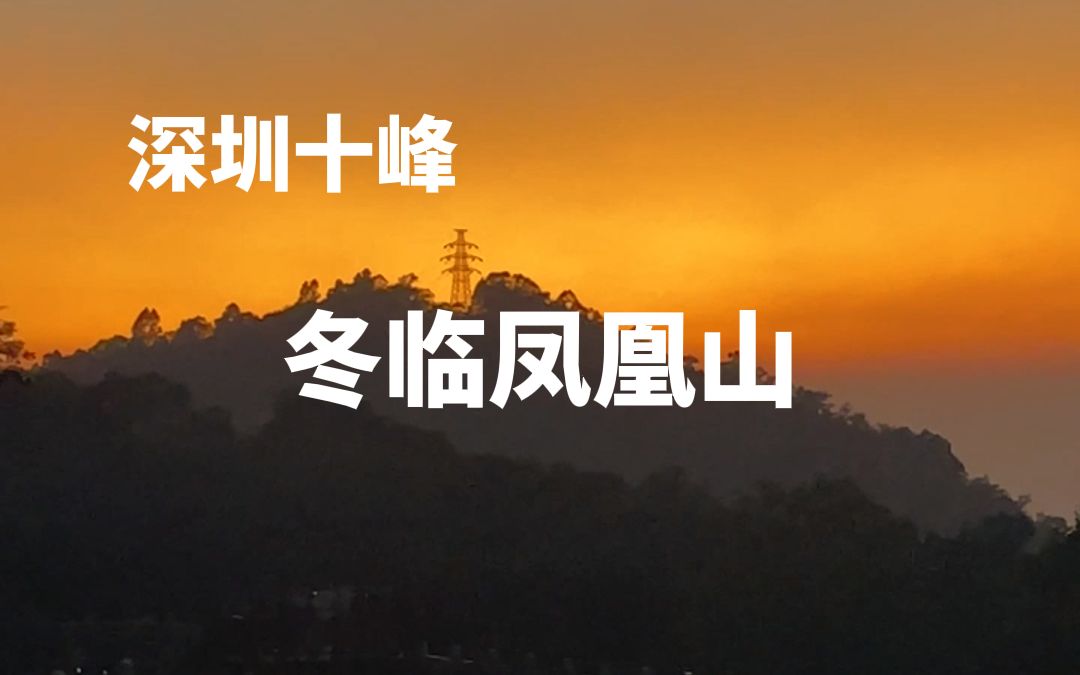 [图]深圳的冬天 和好友一起打卡凤凰山