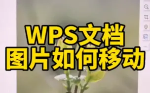 下载视频: WPS文档如何移动图片