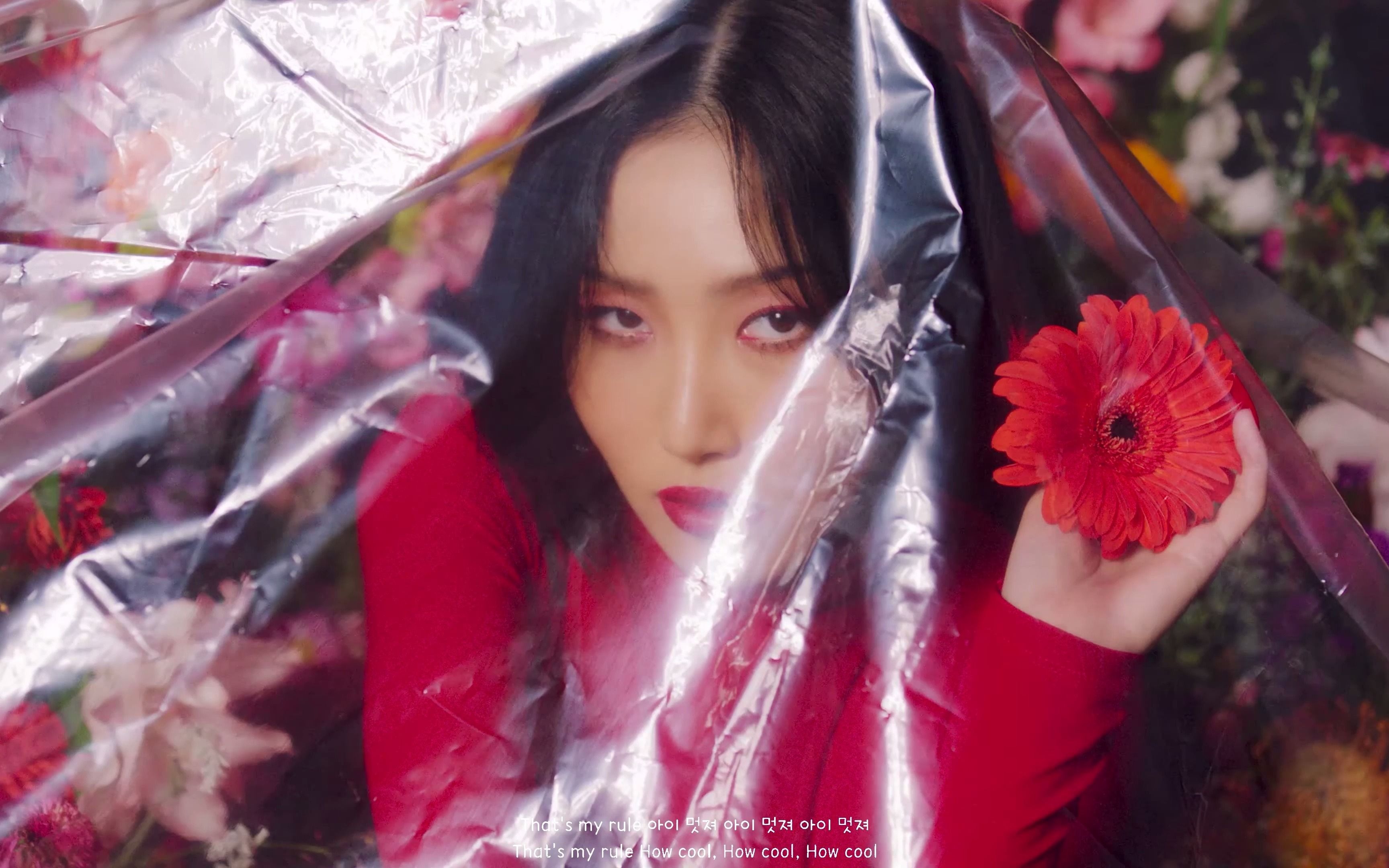 【韩英字幕】mamamoo(hwa sa) - im a - mv (4k)