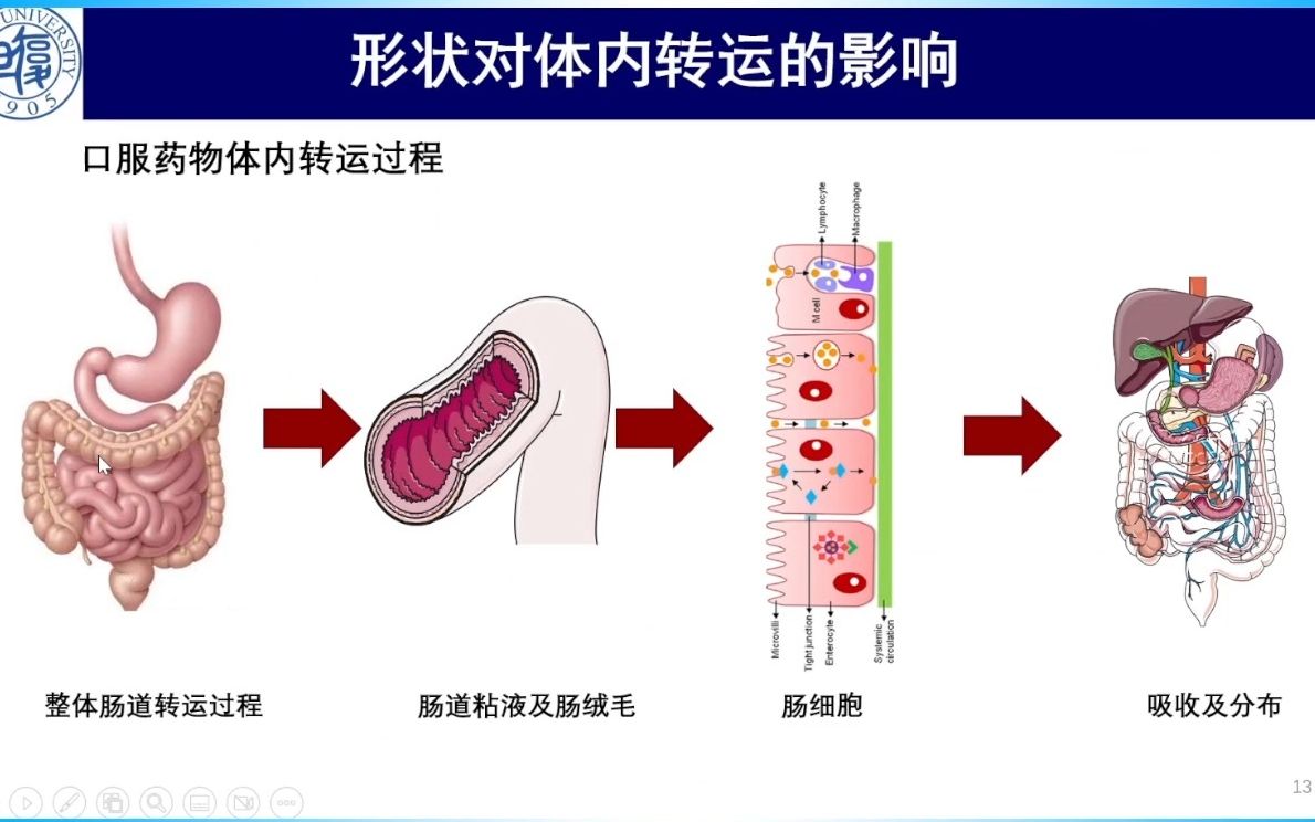 20220916复旦大学戚建平纳米粒作为药物辅料的形状效应哔哩哔哩bilibili