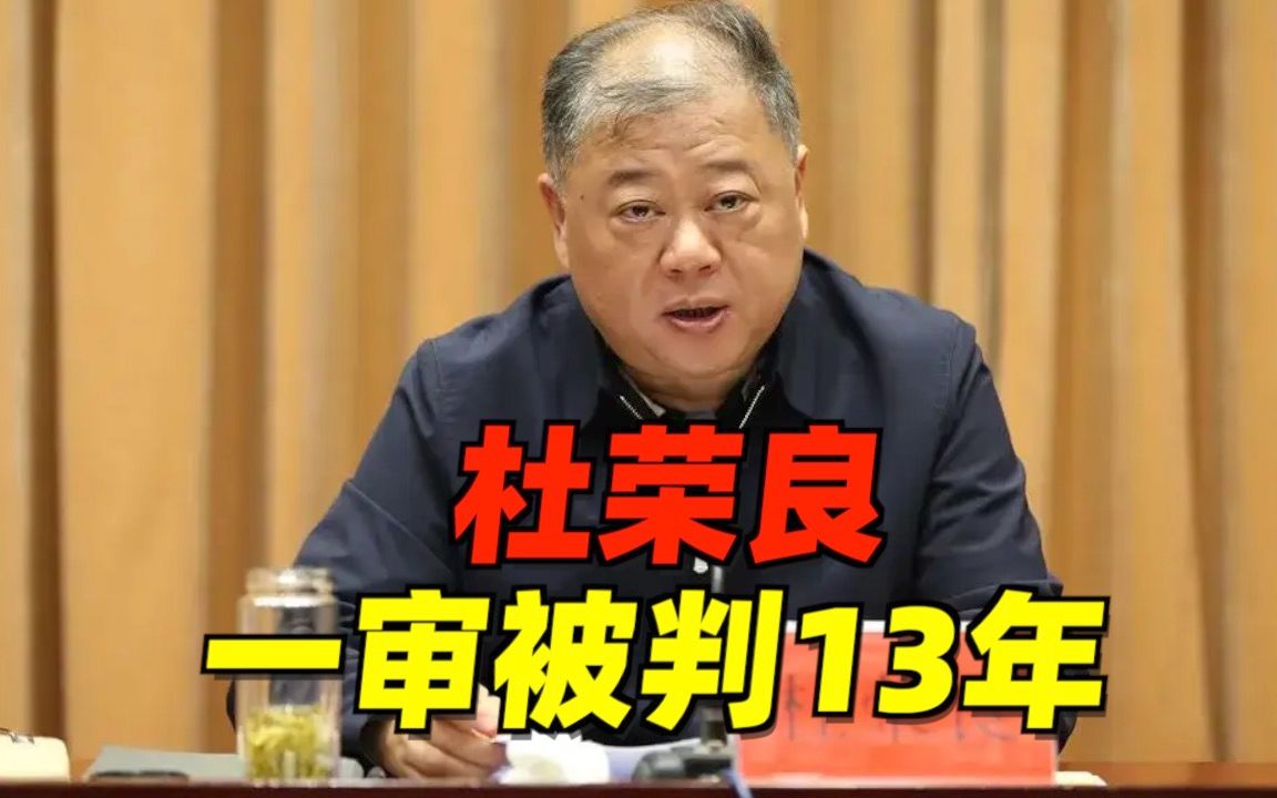 常州市政府原副市长、市公安局原局长杜荣良,一审被判13年哔哩哔哩bilibili