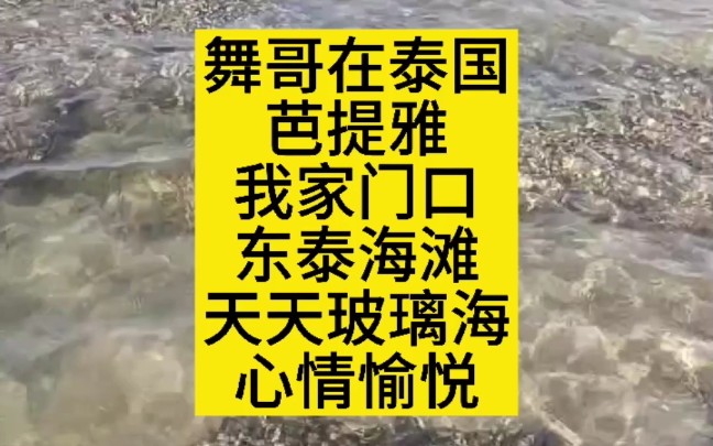 舞哥在泰国:芭提雅,我家门口,东泰海滩,天天都是玻璃海,心情愉悦#泰国养老#泰国房产#泰国旅游#芭提雅帕山#东泰海滩#玻璃海哔哩哔哩bilibili