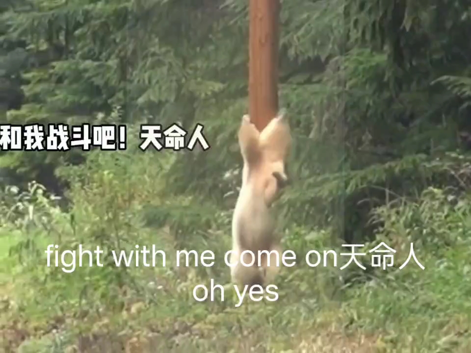 yes,天命人,come on,用你的金箍棒