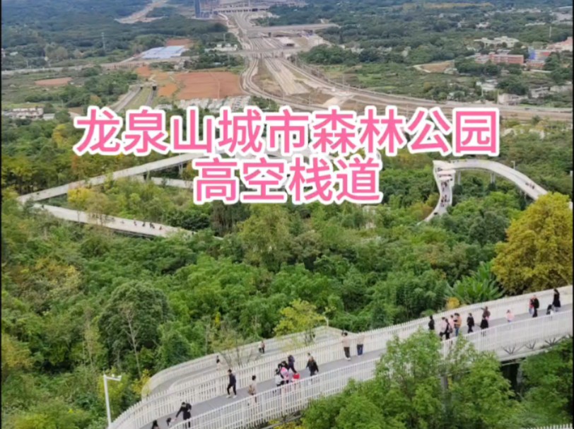 龙泉山城市森林公园高空栈道哔哩哔哩bilibili