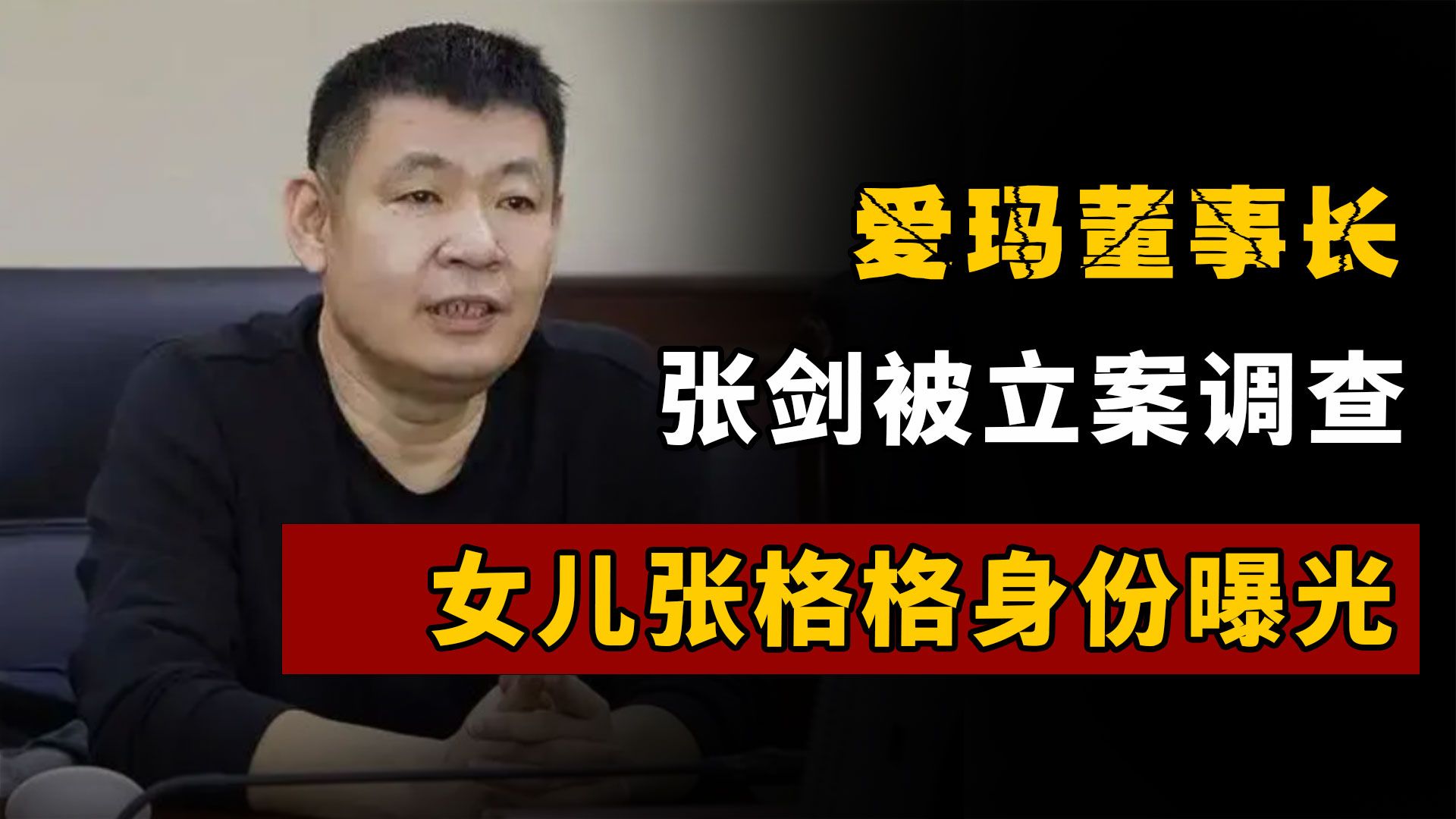 爱玛电动车董事长张剑图片