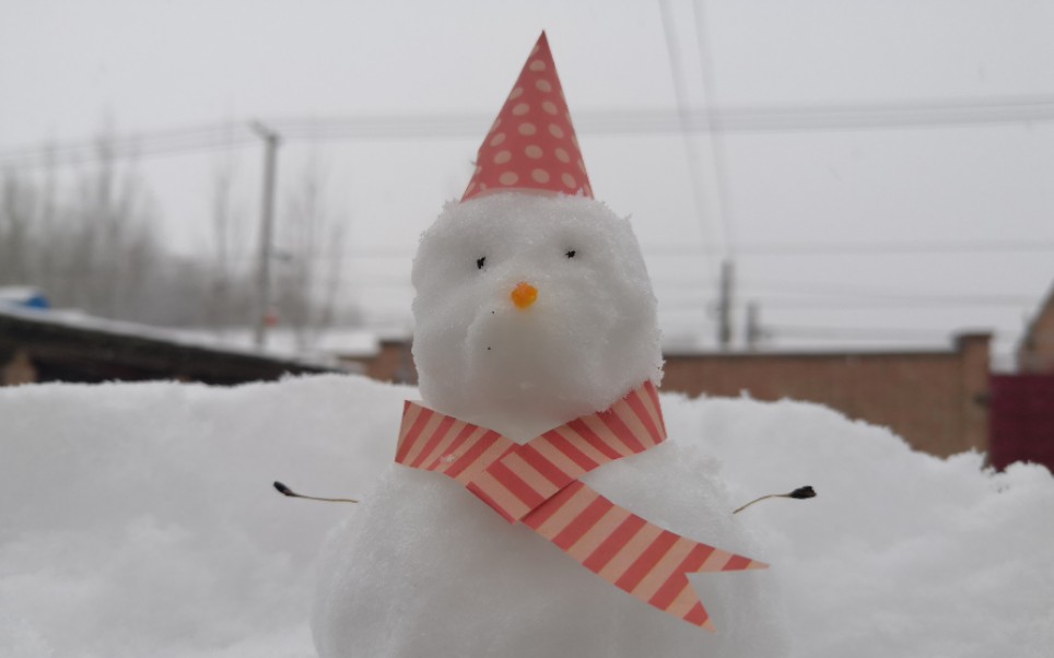 【冰雪奇缘】【声临其境】【堆雪人】