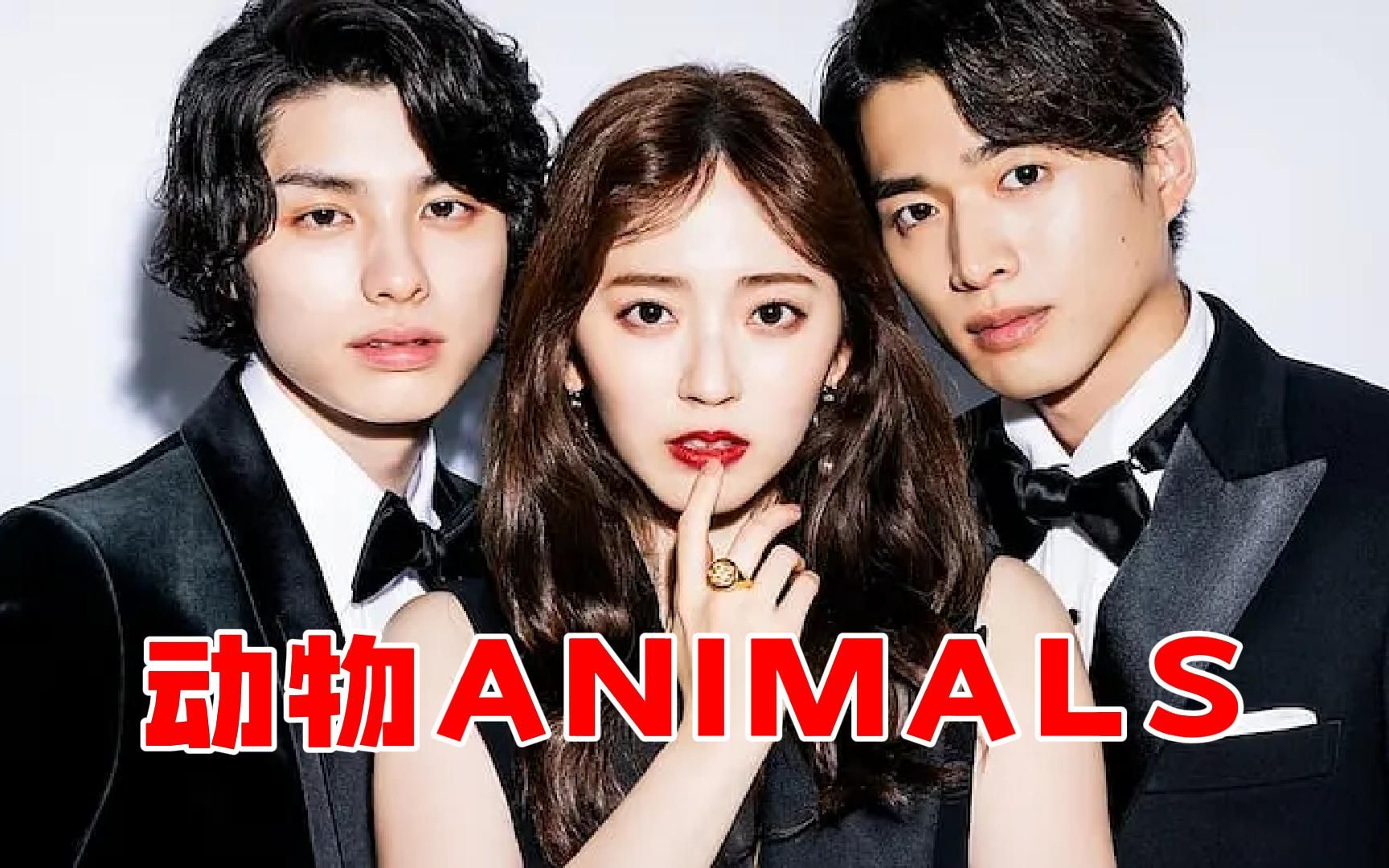 高分日剧《动物ANIMALS》一口气看完，社畜女生的逆袭之路！-南城以北涵柏-默认收藏夹-哔哩哔哩视频