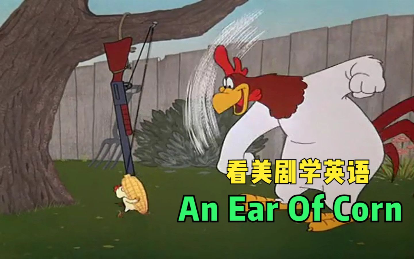 “An ear of corn”竟然不是“玉米的一只耳朵”?!哔哩哔哩bilibili