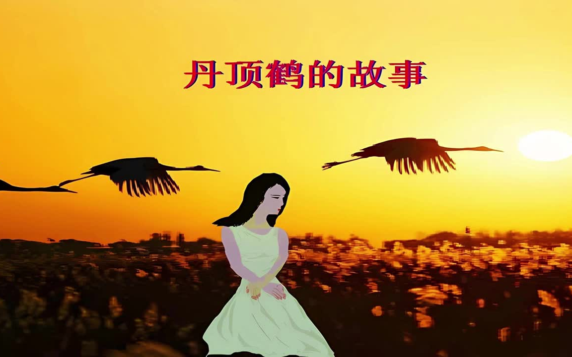 甘萍 一个真实的故事 丹顶鹤的故事