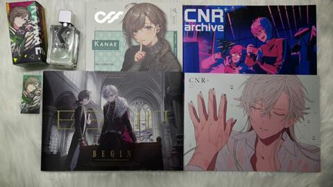 CNR+再贩设定集开箱】ChroNoiR2020年再販BOXセット开箱记录视频-哔哩哔哩