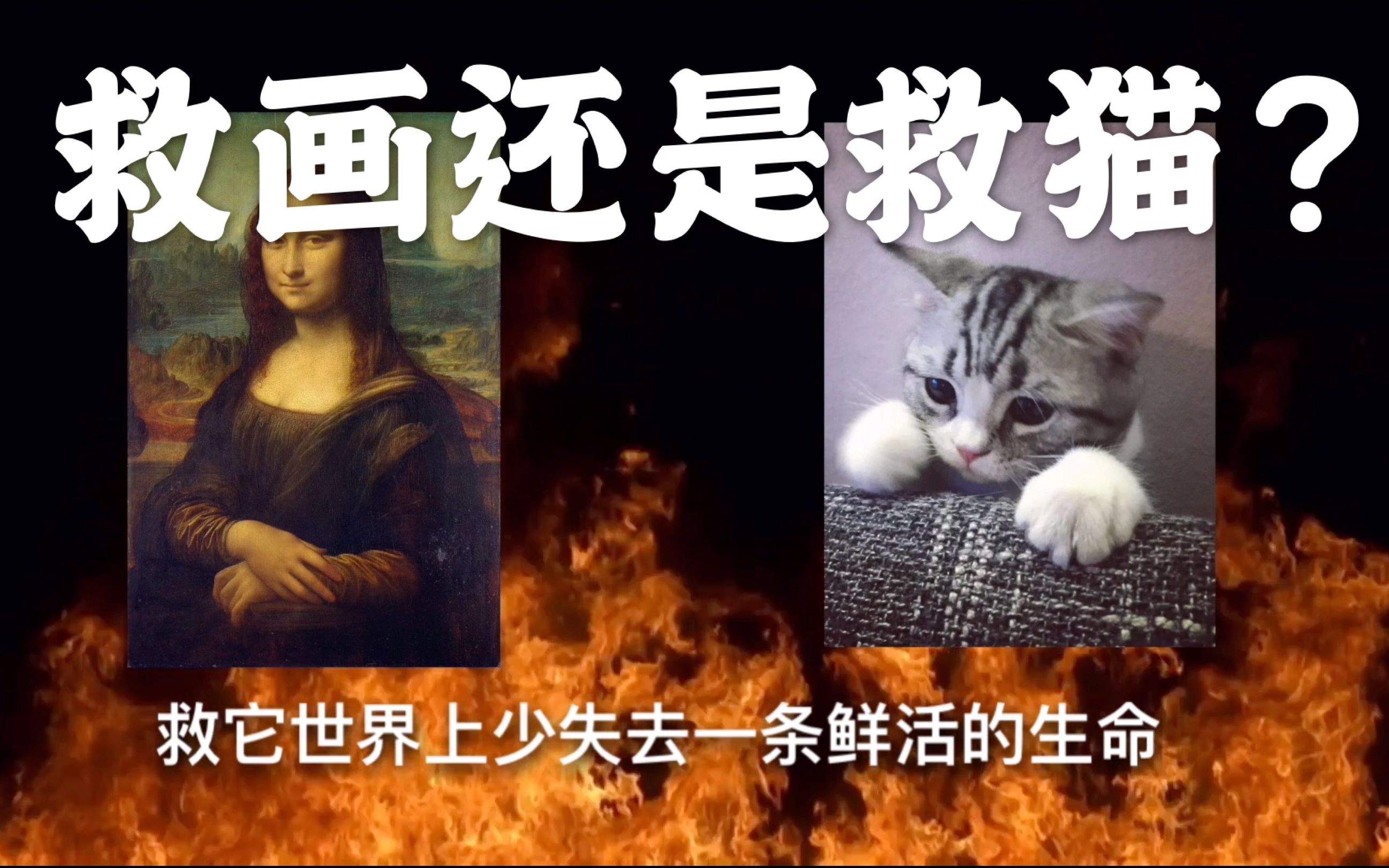 大木说救画还是救猫从另一个角度解释什么是遥远的哭声
