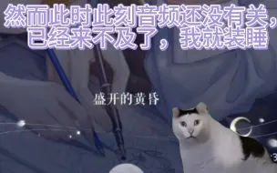 Download Video: 关于我睡觉听乙游音频被亲戚发现误会早恋这件事(猫meme)