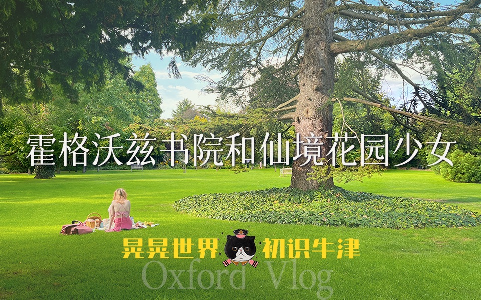 【慕成】 晃晃牛津之开学体验.游览《哈利波特》霍格沃兹原型博德利图书馆,感受英伦多元化校园.哔哩哔哩bilibili